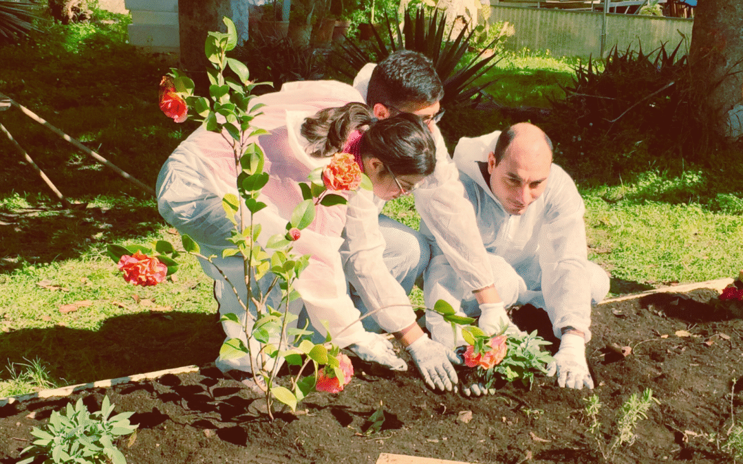 2nd Newsletter of Skills+ 3.0